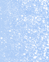 Winter Statement Edit