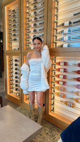 Frost Kiss Feather Mini Dress